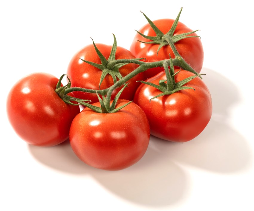 Teknosera | CLUSTER TOMATOES 