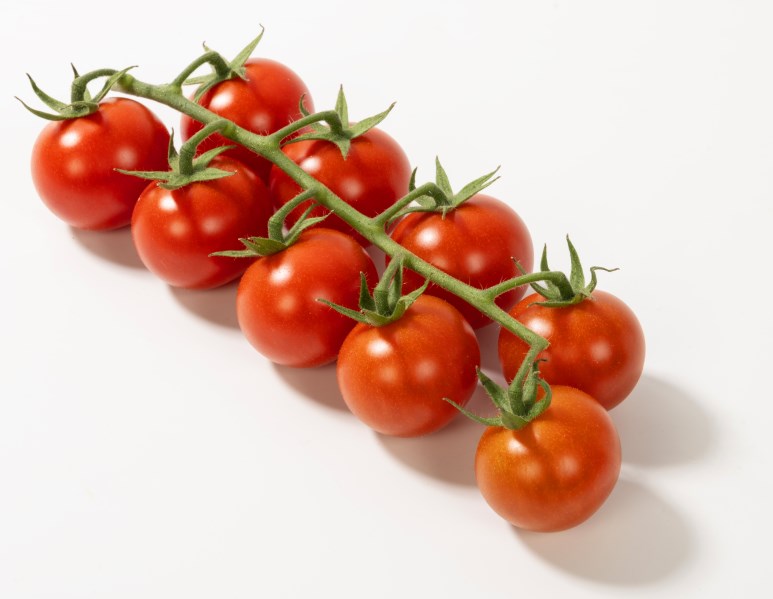 Teknosera | CHERRY TOMATOES